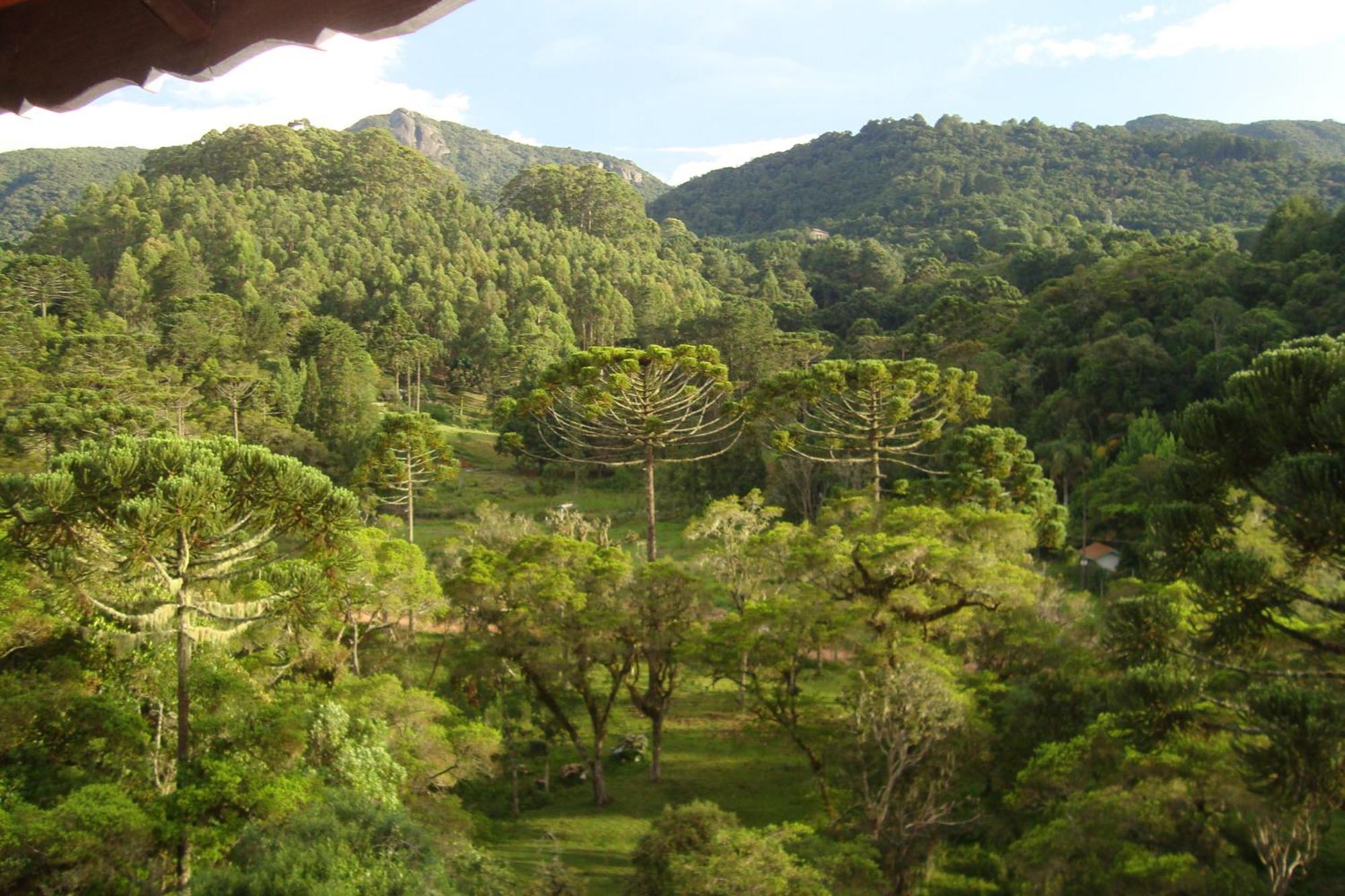 Hotel Piao Mineiro Monte Verde  Bagian luar foto